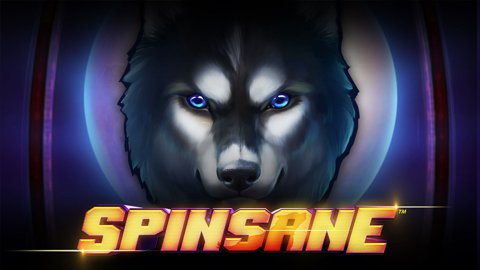 Spin Sane