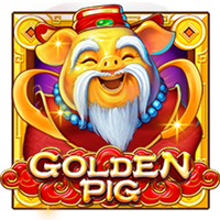 Golden Pig